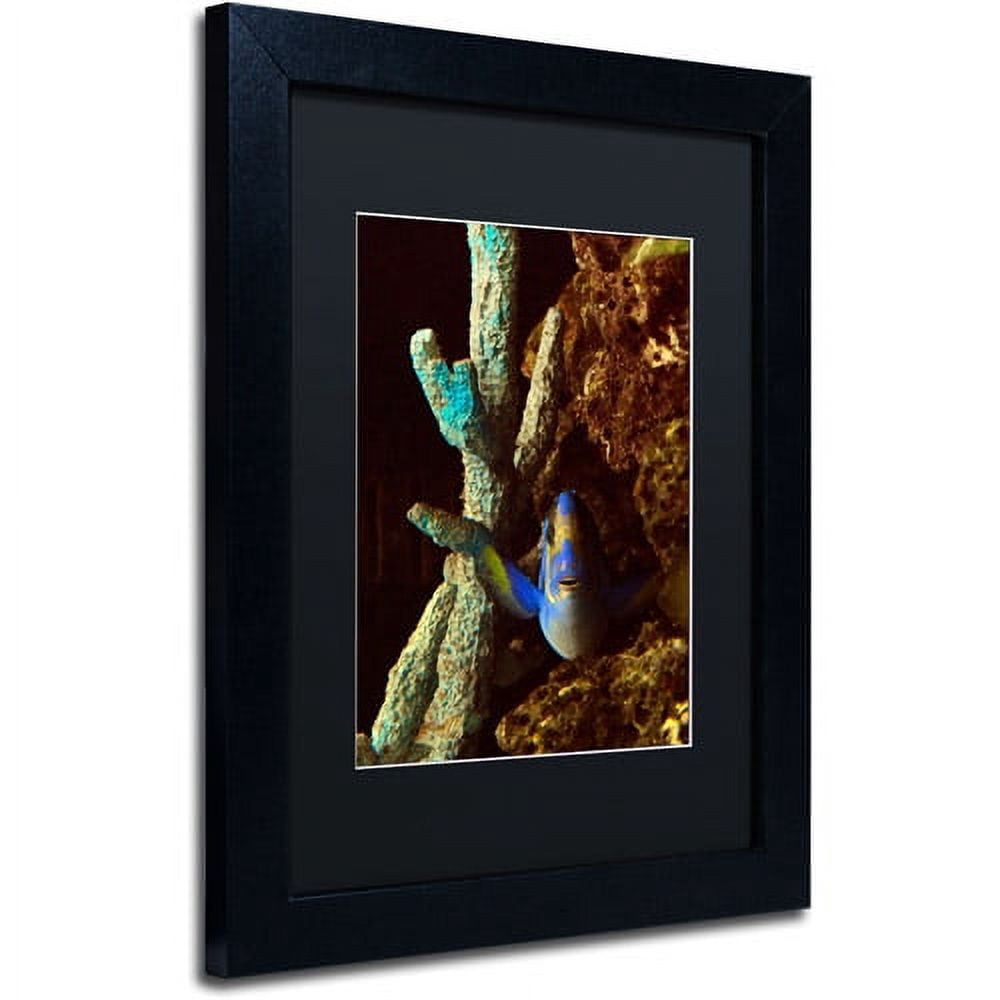 Trademark Fine Art "Fish in the Rocks" Canvas Art by Kurt Shaffer, Black Matte, Black Frame