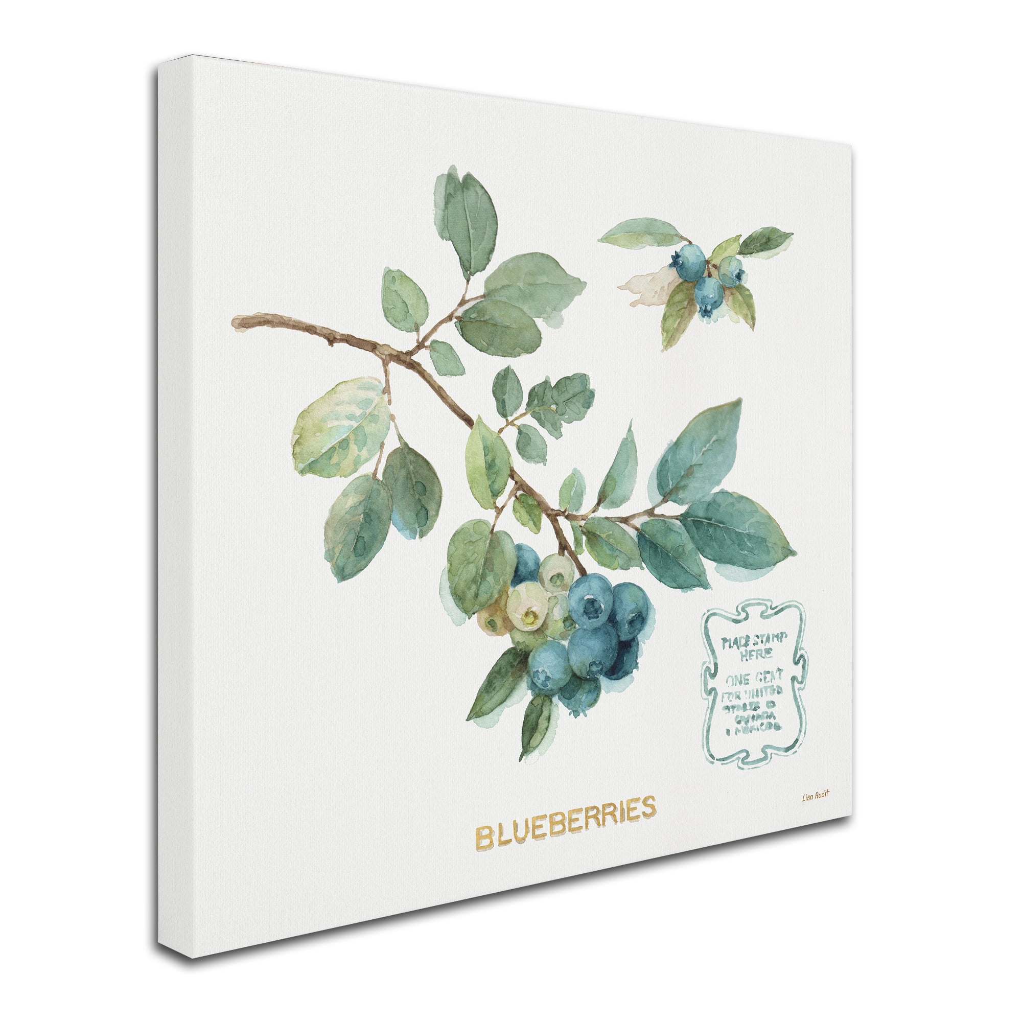 Trademark Fine Art "My Greenhouse Fruit II" Canvas Art by Lisa Audit