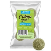 Raw Paws Natural Catnip Ball for Cats (6-ct) - Interactive Cat Toy for Indoor Cats - Cat Ball Toy - Kitten Toys - Cat Nip Ball Cat Toy - Cat Lick Ball - Cat Nip Cat Toys Balls - Catnip Ball Toy