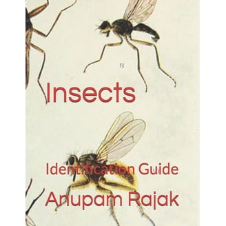 Handbook of Gem Identification, (Paperback) - Walmart.com