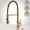 Brushed Golden, variant on Golden Kitchen Sink Faucet, Pull-Down Design, Suitable for Commercial Use, Featuring Brass Construction And 9/16 Hoses. This Brushed Golden Faucet Rotates 360 Degrees And Includes a Deck Plate