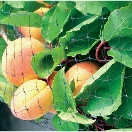 Protection Netting - 4MX10M Gardening Pest Anti Bird Crop Net Netting Garden Plants Ponds Fruit Tree Vegetable Flower Mesh Protection Pest Reject