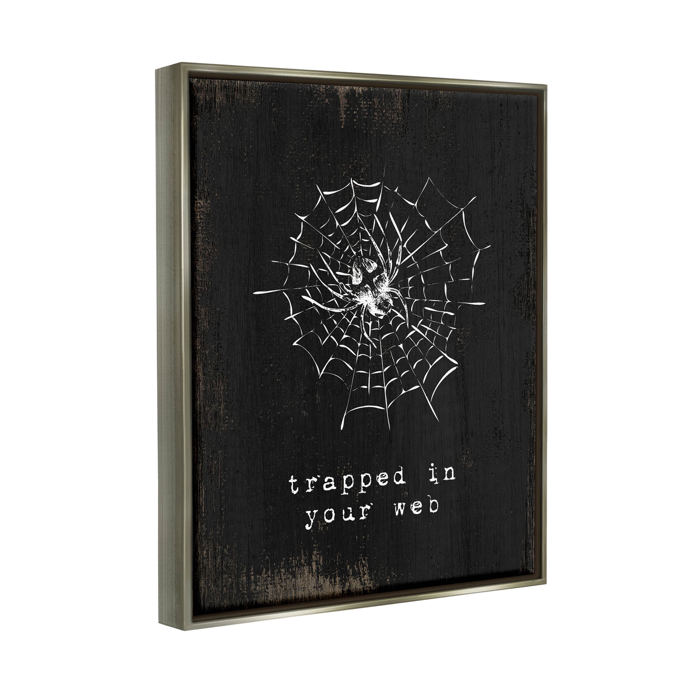 Stupell Industries Trapped In Your Web Spider Graphic Art Luster Gray Floating Framed Canvas Print Wall Art, Design by Lil' Rue