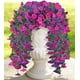 thumbnail image 2 of 2 paquetes de flores artificiales colgantes para exteriores, flores artificiales de seda y plantas artificiales realistas, adecuadas para decoración de terraza, porche y jardín, 2 of 5