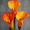 Lily, variant on Mercy Jesus Canvas Wall Art, Modern Divine Print, Bridesmaid Gift Home Wall Decor