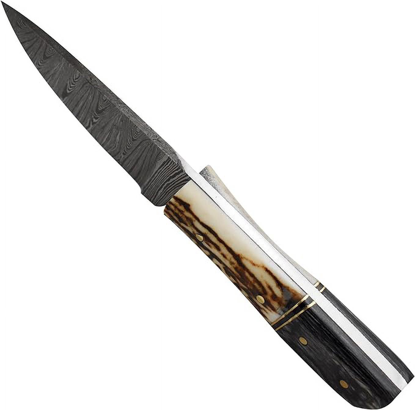 Old Ram 8" Stag And Wood Damascus Skinner Outdoor Hunting Knife