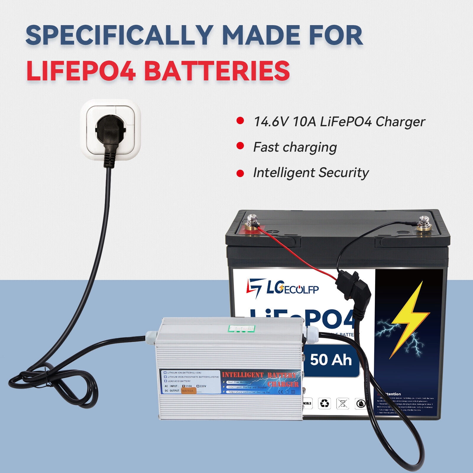 LGECOLFP Lithium Ion 12.8 Volt Vehicle Battery,850 CCA