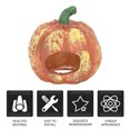 thumbnail image 1 of FENGGUIQU Cueva Decorativa De Calabaza Para Acuario Refugio Para Peces Y Camarones, 1 of 7
