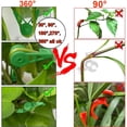 thumbnail image 3 of Plant Clips, 30Pc 360° Adjustable Plant Trainer Clips Plant Support Clips Flower Vine Clips Garden Plant Clips, Rattan Clip, 3 of 9