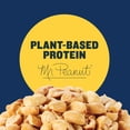 thumbnail image 4 of Planters Salted Peanuts - 3 Pounds 8 Ounces (56 oz) by Planters, 4 of 9