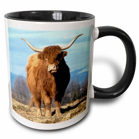 

3dRose USA Oregon Multnomah County. Highland cow - US38 BJA0154 - Jaynes Gallery - Two Tone Black Mug 11-ounce