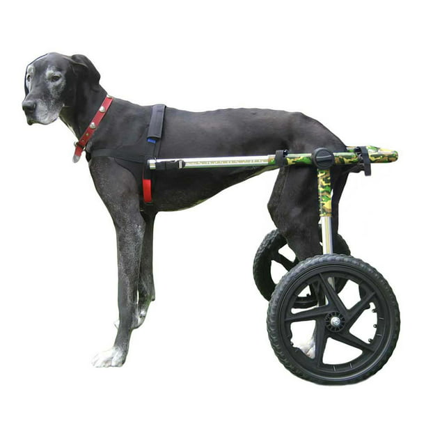 Walkin Wheels Dog Wheelchair For Large Dogs 70 180 Pounds Veterinarian Approved Back Legs Com - Diy Dog Wheelchair For Back Legs