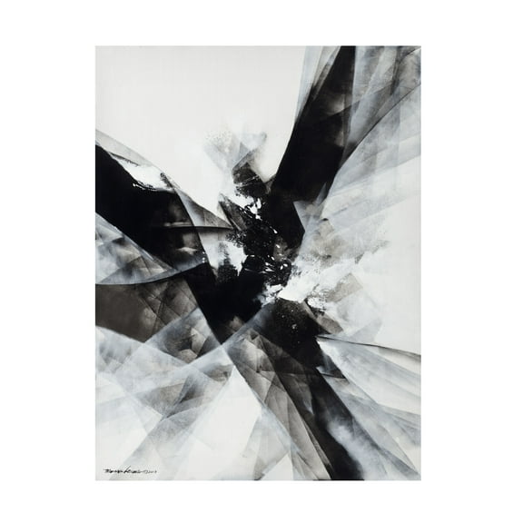 Canvas Wall Art - Thomas Leung 'Crisscross' Wall Art for Living Room, Bedroom, or Office Décor by Trademark Fine Art - 14 x 19 Inches