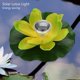 thumbnail image 2 of Lámpara flotante de flor de loto que cambia de color con energía solar a prueba de agua, color amarillo claro, 2 of 8