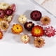 thumbnail image 5 of Material de flores secas para bricolaje Flores y hojas secas prensadas reales para manualidades C Ehuebsd Libre de BPA, 5 of 8