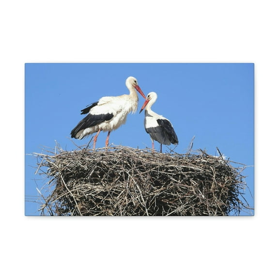 Stork Couple Stork Couple Print Animal Wall Art Wildlife Canvas Prints Wall Art Ready to Hang Unframed