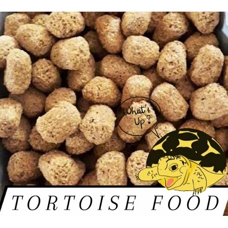 Tortoise Iguana Reptile Food DIET FRESH from bulk Choose Size!!!