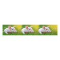 thumbnail image 2 of MKHERT Funny Young Pig on a Spring Green Grass Cute Animal Table Runner Home Decor for Wedding Party Banquet Decoration 16x72 Inch, 2 of 2
