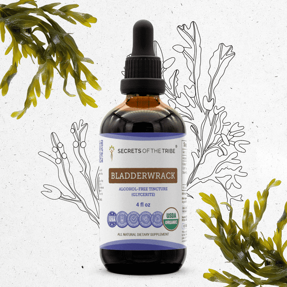 Secrets Of The Tribe Bladderwrack Organic Tincture Dietary Supplement, Natural Extract for Thyroid Function Support, Organic Bladderwrack (Fucus vesiculosus) Dried Plant, Alcohol-Free Extract, 4 oz