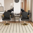 thumbnail image 3 of S-HOME Professional Hydraulic Salon Chair With 360° Swivel, PU Leather, Ergonomic Support, Non-Tilting Barber Equipment For Salons, Black, 3 of 14