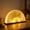 A, variant on Taicans Wooden Book Lamp,Wooden Folding LED Book Lamp with Auto-Color Changing Light,Portable Fan-Shaped Night Light,USB-C Rechargeable Ambient Desk Light,Unique Gift for Book Lovers & Home Decor