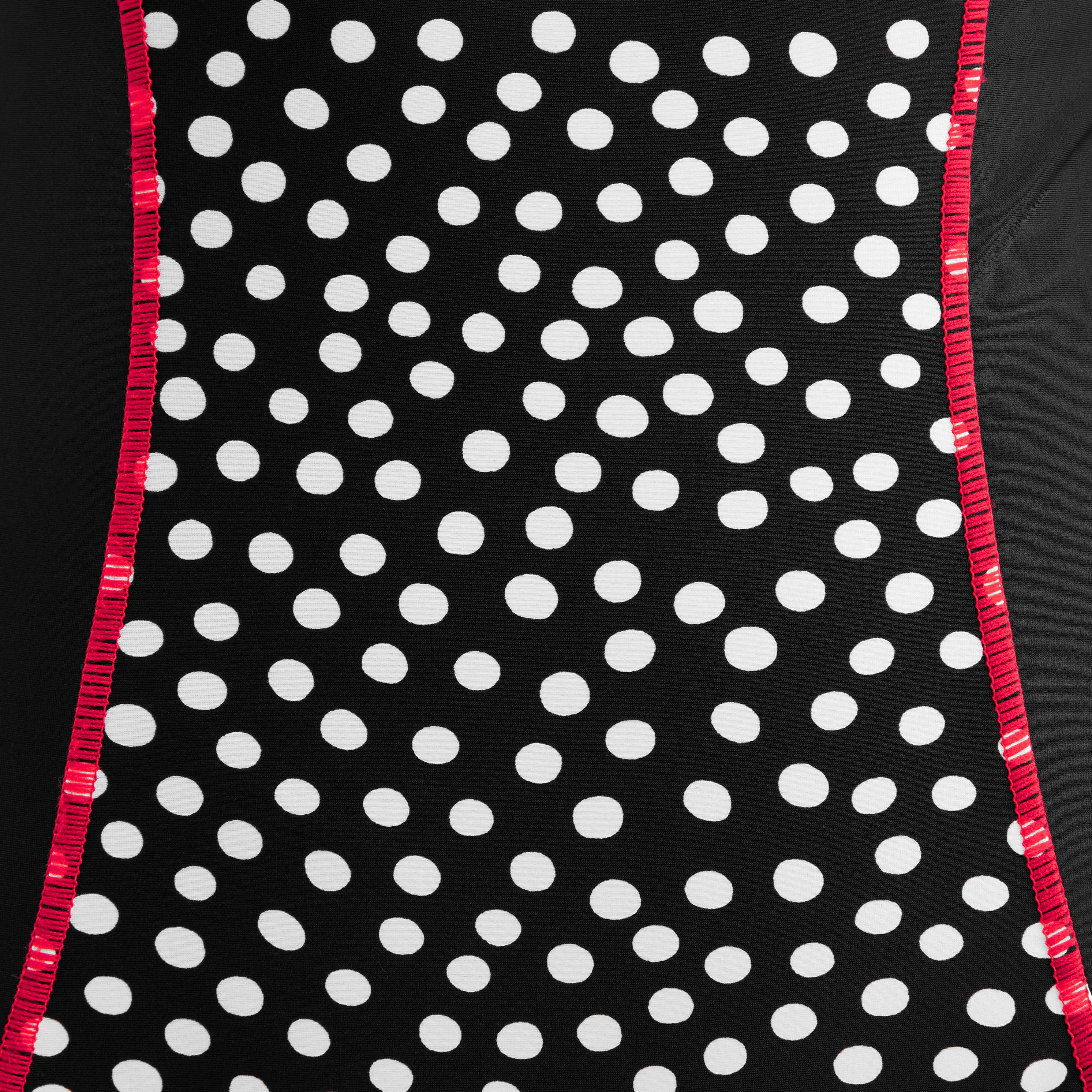 DONATELLA DITSY DOT SEAMED ONE PIECE SWIMSUIT