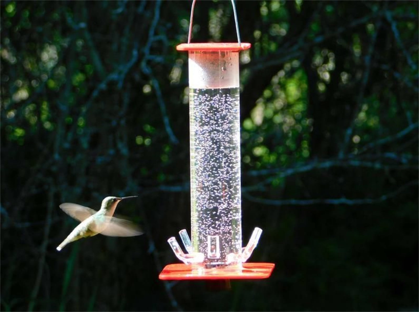 EUDIDV Suet Bird Feeder Cane Flexi Balls Fruit Cage Connectors Netting Plant Support Garden Avian Feast Station