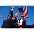 thumbnail image 3 of Placa Metal Vintage Donald Trump Asesinato Pintura Hierro Rectangular 30x20cm, 3 of 8