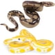 thumbnail image 1 of Juego de 2 figuras de serpiente de goma realistas para Halloween, 1 of 5