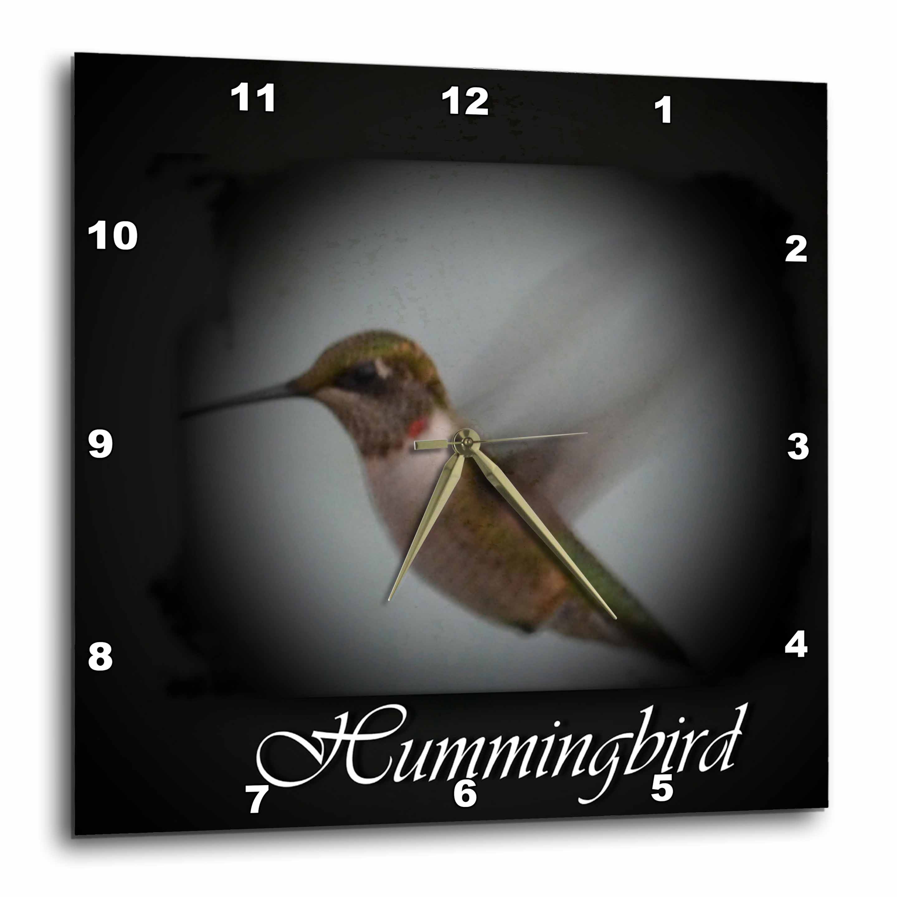 3dRose Hummingbird AA Hummingbird picture Wall Clock, 10 by 10inch