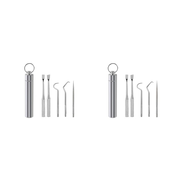 Bewildely Palillo de Limpieza de de viaje Selección Barbacoa Fruta Tenedor Reutilizable Lavable Multifuncional Flosser 5PCS 2piezas