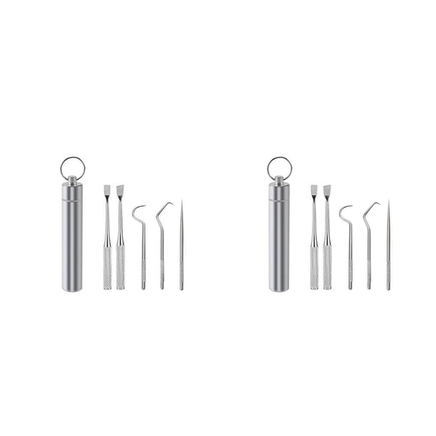 Naiovety Palillo de Limpieza de de viaje Selección Barbacoa Fruta Tenedor Reutilizable Lavable Multifuncional Flosser Flosser con 5PCS 2piezas Naiovety CBP259788