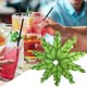 thumbnail image 1 of 50 Green Tropical Coconut Palm Tree Toothpick Paper Umbrella Stick Decorations Cocktail Stick Decorations Cocktail Decorations Party Bar Drinks Food Supplies, 1 of 5