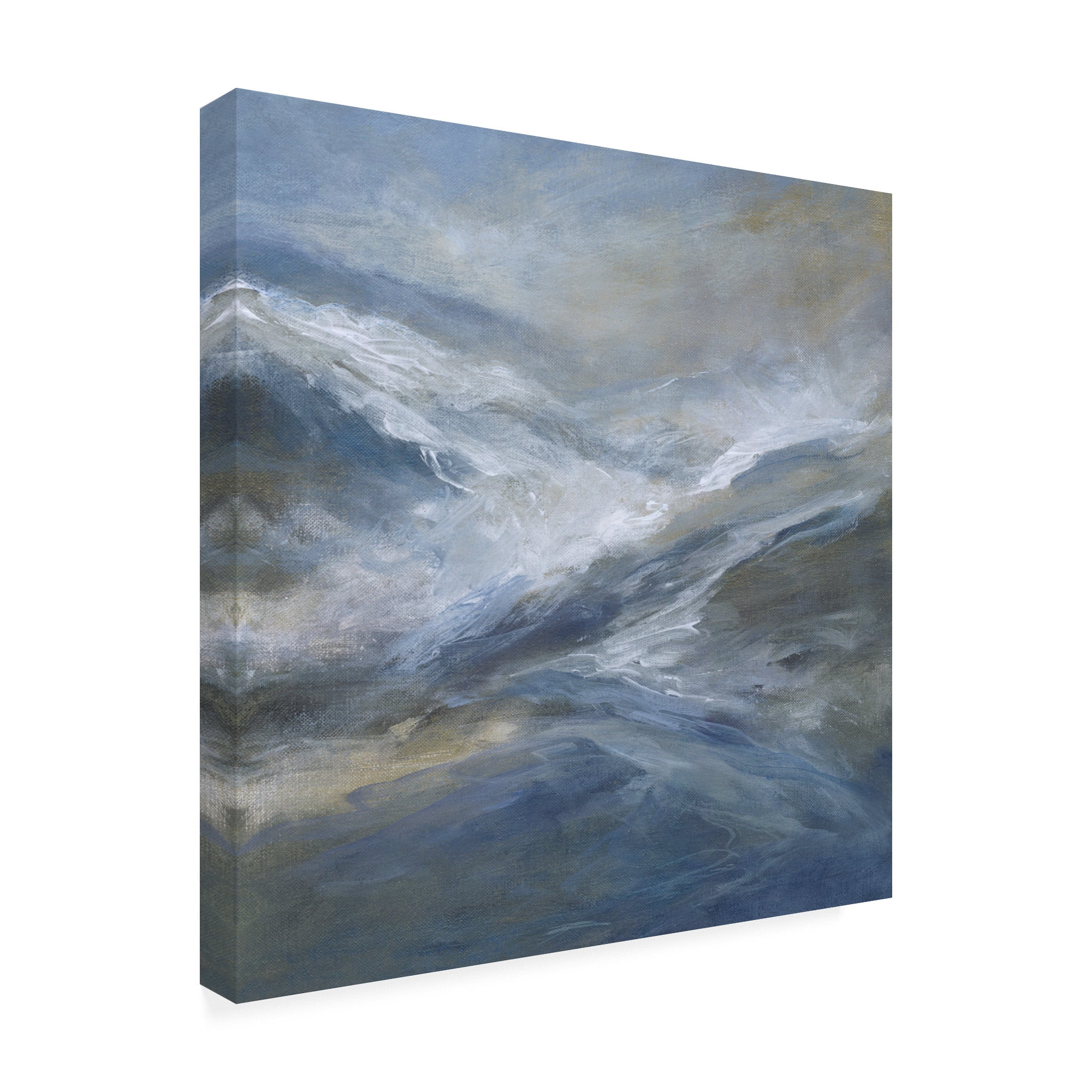 Trademark Fine Art 'January Seas' Canvas Art by Sheila Finch