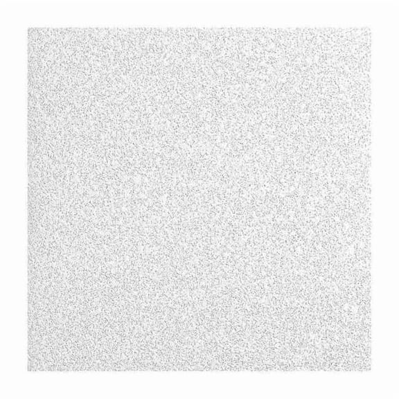Armstrong Ceiling Tile,24 in L,24 in W,PK12 3114EPB