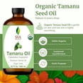 thumbnail image 6 of SVA Tamanu Seed Oil Organic - 32 fl oz – 100% Natural Cold Pressed Tamanu Oil - for Face, Skin Care, Hair Care, Scalp Massage & Body Massage – Carrier Oil, 6 of 7