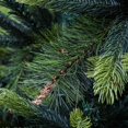 thumbnail image 2 of ALEKO CT9FT011 PE et PVC Arbre de Noël Mixte à Charnières de 9 Pi, Vert, 2 of 4