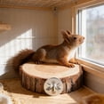 thumbnail image 4 of YCCMML Multi-Pet Interactive Platform Wooden Perch Climbing Toy for Small Animal Cage Enrichment, 4 of 8