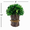 thumbnail image 2 of Bergamo Art Preserved 10 Inch Decorative Boxwood Standing Topiary Plant Green, 2 of 4