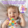 thumbnail image 2 of Juguetes sensoriales Montessori para bebés TOHIBEE de 0 a 18 meses con mordedores, 2 of 7