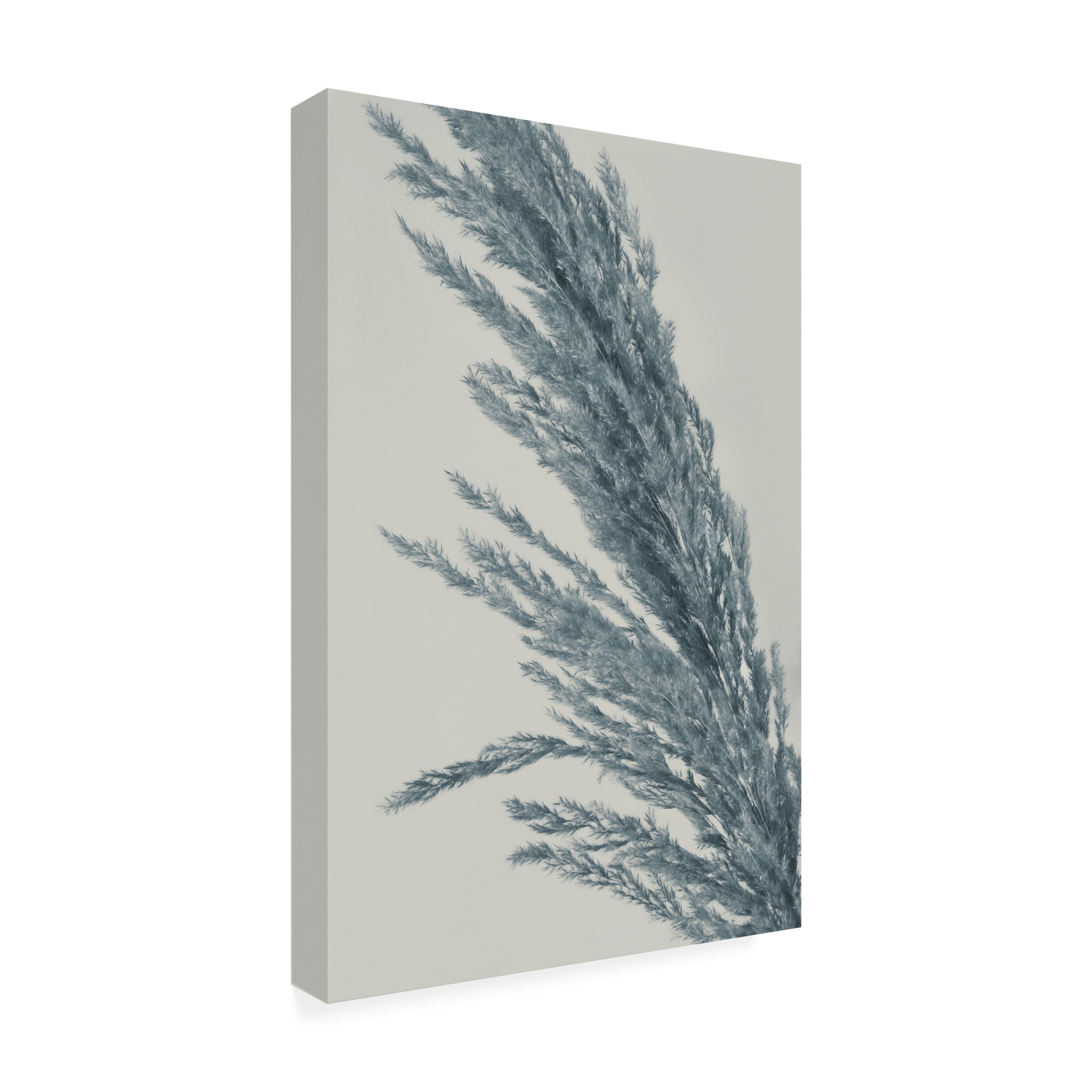 Canvas Wall Art - Heidi Westum 'Soft' Wall Art for Living Room, Bedroom, or Office Décor by Trademark Fine Art - 22 x 32 Inches
