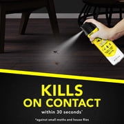 Raid Defense System Indoor and Outdoor Ants, Roaches, Spiders and Flies Insect Killer Bug Spray, 15 oz