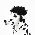 thumbnail image 4 of Peluca de perro TESSVEYA de pelo rizado negro para perros pequeños y grandes, 4 of 6