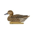 thumbnail image 5 of AVIAN-X Topflight Pintails Durable Ultra Realistic Floating Hunting Duck Decoys, Pack of 6, AVX8082, 5 of 13