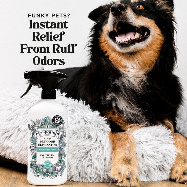 Pet-Pourri Pawsitively Fresh Pet & Home Deodorizer, 16 fl oz photo 2