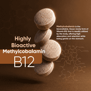 WeightWorld Vitamin B12 Methylcobalamin Tablets 1000 mcg, Energy & Nervous System Support, Vegetarian, 450 Count