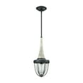 thumbnail image 5 of Elk Home 7-Inch Wide Sturgis Pendant, Transitional, Silvered Graphite, 5 of 5