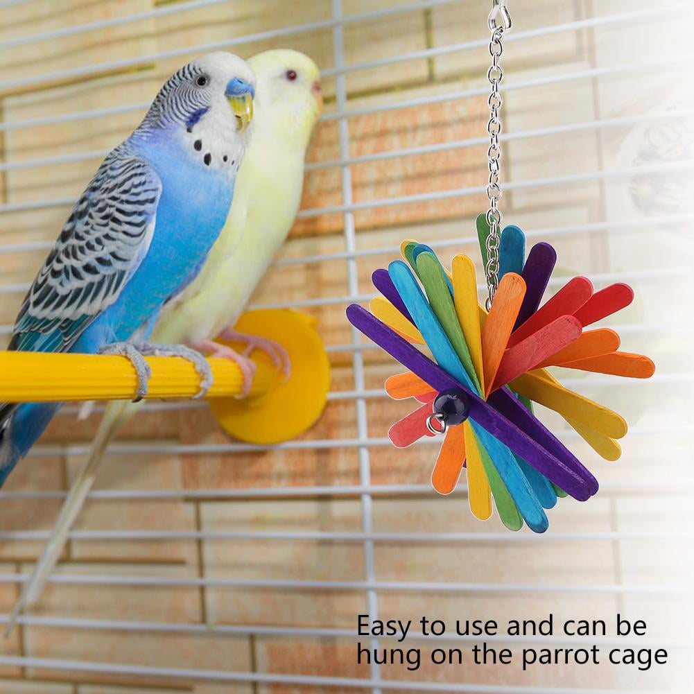 Safe and interactive toys for pet parakeets