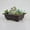 Brown, variant on Imitation Purple Sand Dark Brown Antique Flower Pot Suitable For Succulent Small Potted Small Bonsai Wreath Display for Home Garden