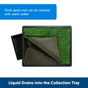 PetSafe Pet Loo Portable Dog Potty,Toilet Alternative for Puppy Pads, Perfect for House Training, Easy-to-Clean Grass Mat, Large